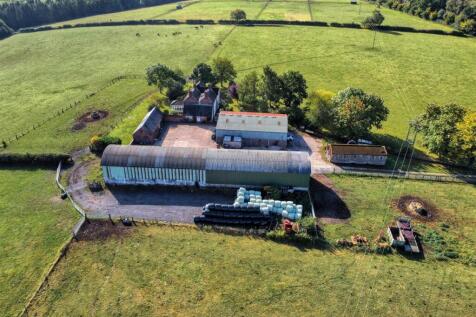 dji_fly_20250905_101414_833_1757063665314_photo_op