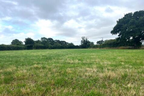 IMG-20250716-WA0001 Brightened.jpg