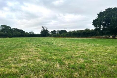 IMG-20250716-WA0009 Brightened.jpg