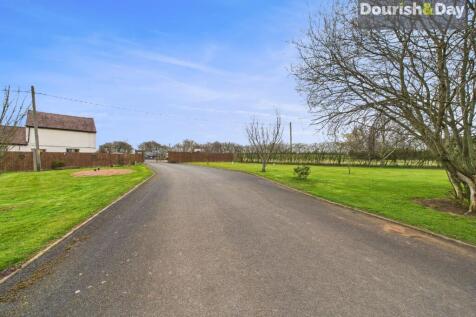 Front Driveway / Orchard