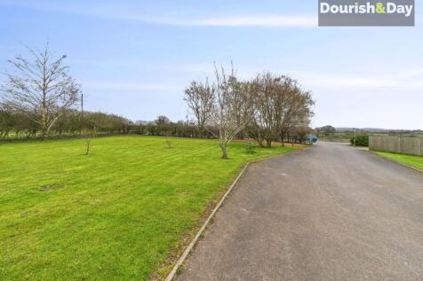 Front Driveway / Orchard