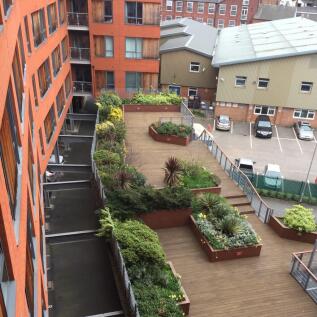 communal garden