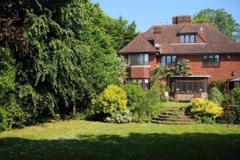 Back of house wide.jpg