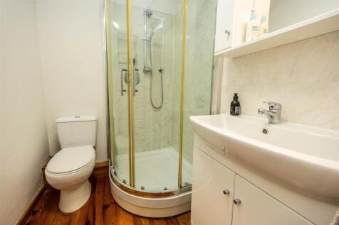5ERBrd-100325-29.jpg