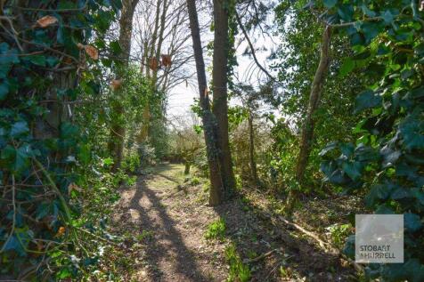 Woodland 