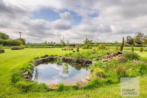 Pond Life