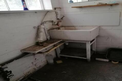 WhatsApp Image 2021-