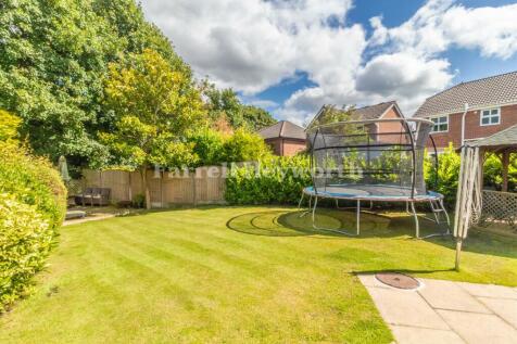Rear Garden image 5