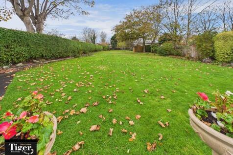 CAM02176G0-PR0745...