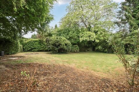 Back Garden.jpg