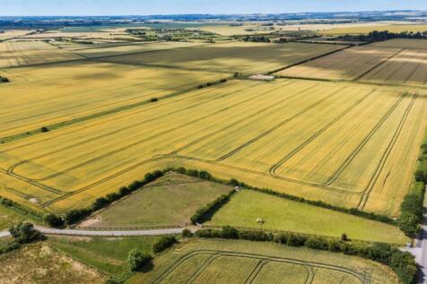 1316350-1-6866827c05531-ARW (5)