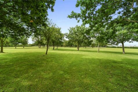 Grounds