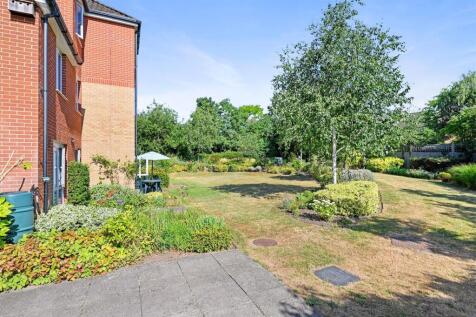 02-220fDSC_8892 (1)-medium.JPG