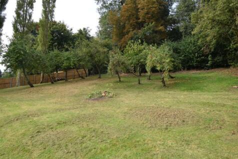 Grass Paddock