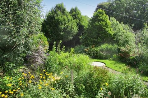 View of Garden from House