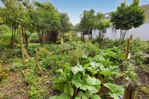 Garden - Vegetable Beds