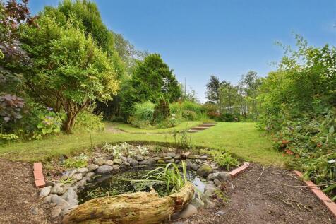 Garden - Pond Area