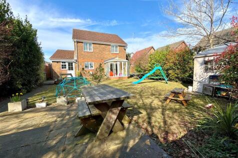 new garden 3.jpg