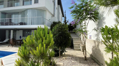 Property Image 44