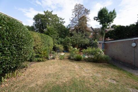 DSC02458-Edit copy.jpg