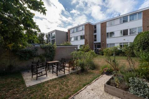 DSC02460-Edit copy.jpg