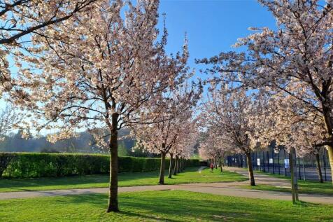 Priory Park