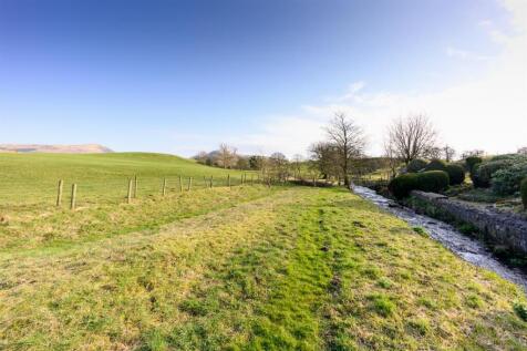 THE MEADOW