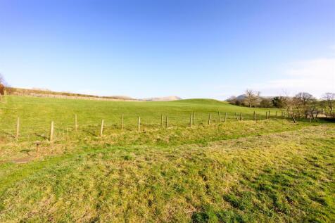 THE MEADOW