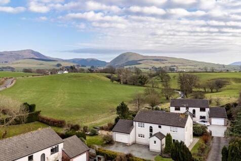 DJI_20250306154041_0052_D.jpg