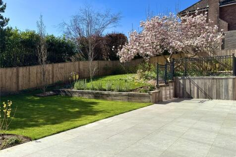 Limewood