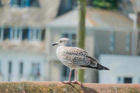 Parry 3 west view Looe-19.jpg