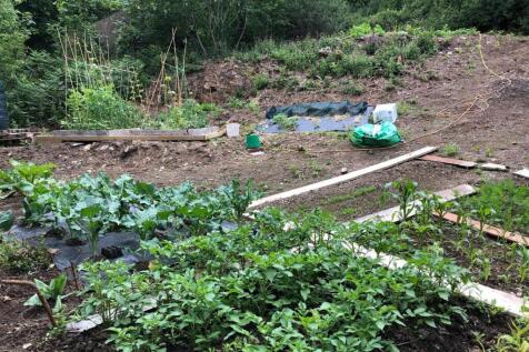 PHOTO-2025-10-07-16-16-03 (3).jpg