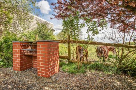 BBQ shetlands (1).jpg