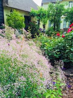 Kerkewijk 106 3904 JG Veenendaal image 67