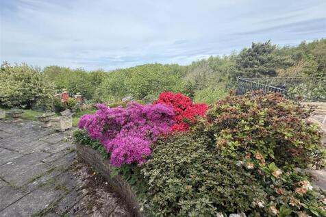 IMG_9827 3.JPG