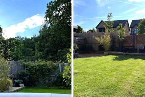 Summer Garden Photos