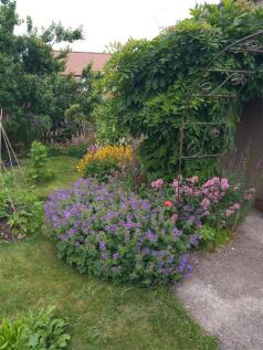 IMG_20210628_151044379.jpg