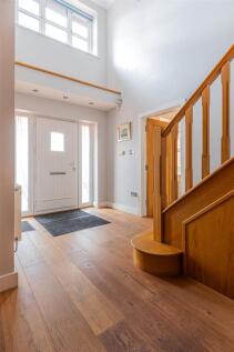 The Poppies 1b-17.jpg