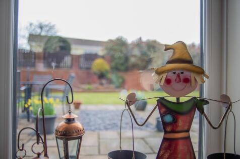 The Poppies 1b-35.jpg