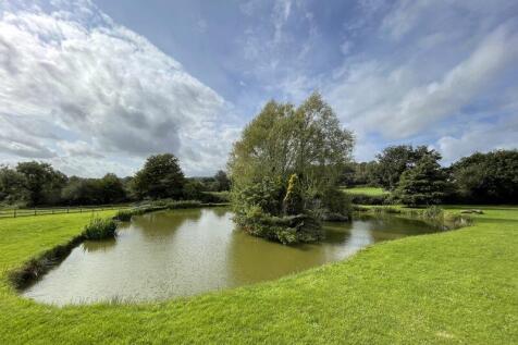 Coarse Fishing Lake 