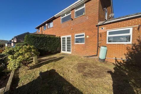 back garden