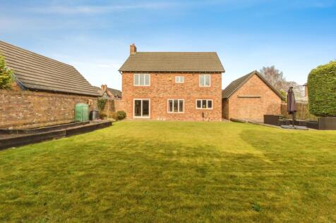 Back Garden