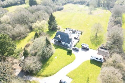 Plot View