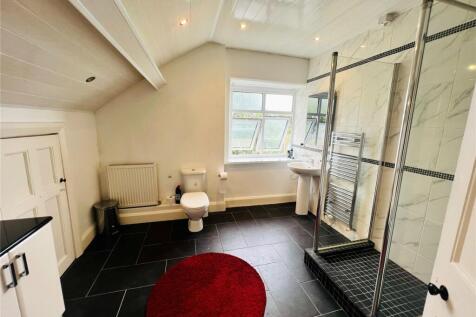 Attic Shower Room