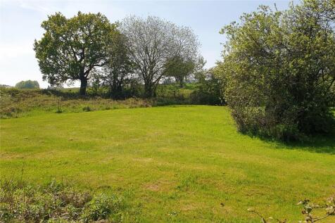 Spacious Grounds