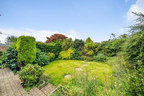 Back Garden