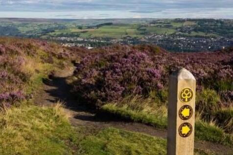 bh78awqa2_884471_1487167185998336512