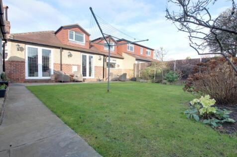 Back garden