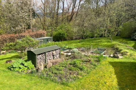 Vegetable Garden and Wood Store