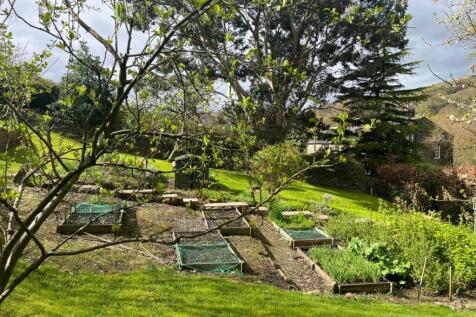 Vegetable Garden